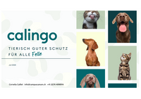 Calingo 1